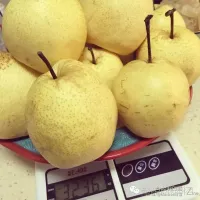 白雪｜关于慕妮白的川贝秋梨膏