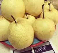 白雪｜关于慕妮白的川贝秋梨膏