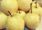 白雪｜关于慕妮白的川贝秋梨膏