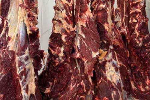 肉500.webp